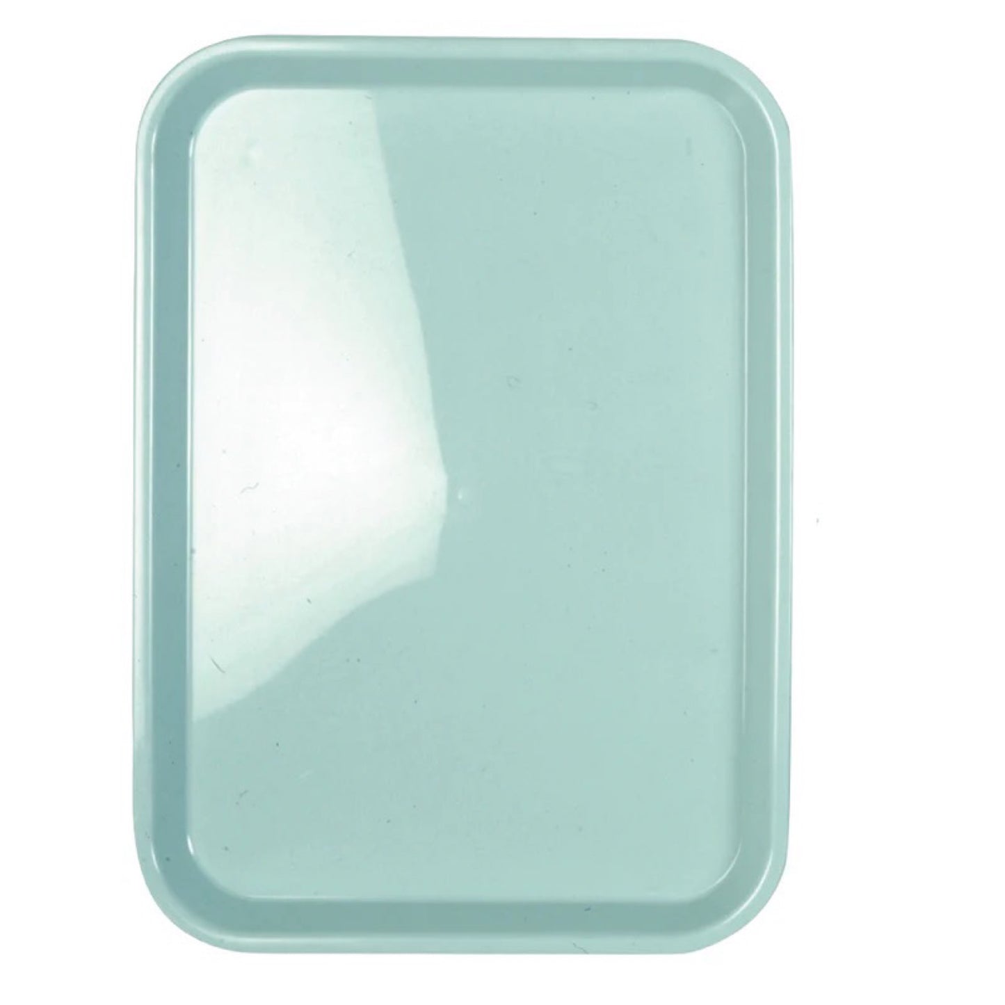 Kunststoff Tray Autoklavierbar Gross 34x24x2 cm 1 Stück